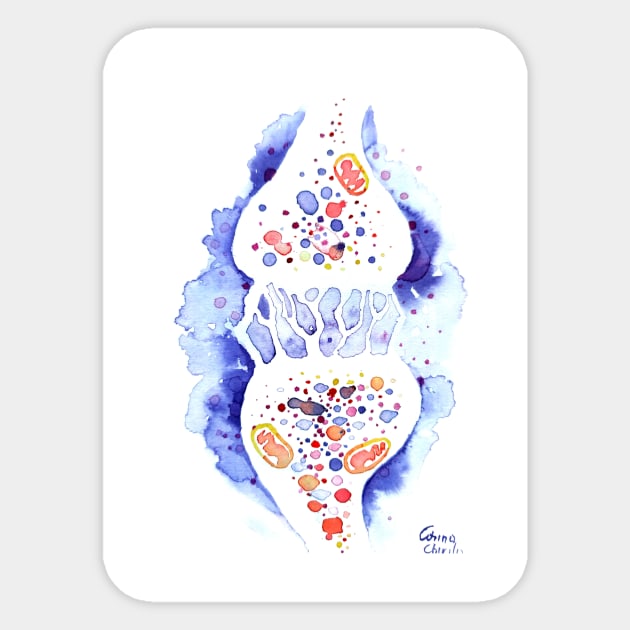 The synapse and the nerve impulse Sticker by CORinAZONe